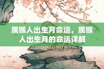 属猴人出生月命运详解,揭示不同出生月的性格与运势特点