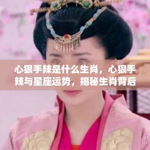 揭秘心狠手辣背后的生肖与星座运势,故事背后的真相探索