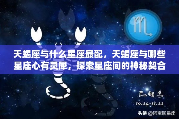 天蝎座最佳配对星座与心有灵犀的探索,星座间神秘契合的奥秘