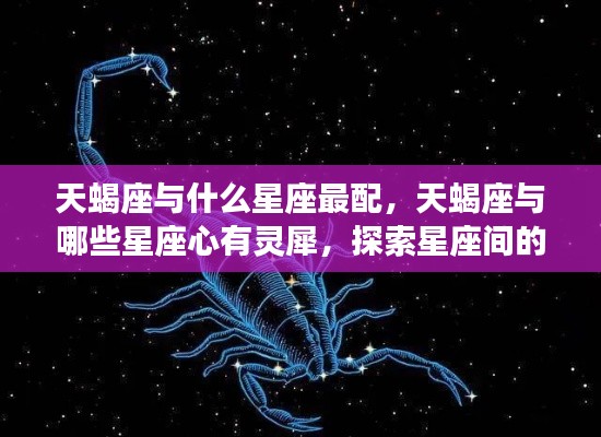 天蝎座最佳配对星座与心有灵犀的探索,星座间神秘契合的奥秘