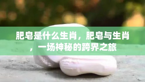 肥皂与生肖,跨界之旅的神秘面纱