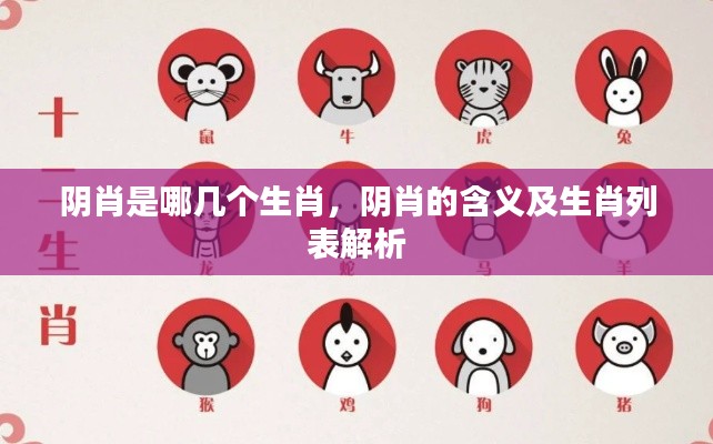 阴肖解析,生肖中的阴性生肖及其含义与列表解析