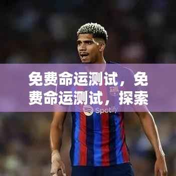 免费命运测试,探索未来之路,预知命运走向