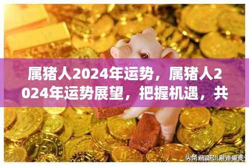 属猪人2024年运势展望,把握机遇,共创辉煌未来