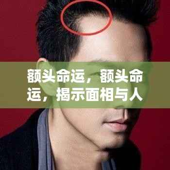 额头命运与人生轨迹，面相揭示微妙联系