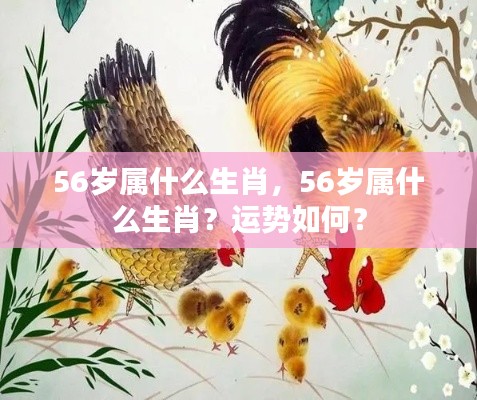 56岁属生肖猴,运势解析与特点