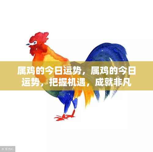 属鸡的今日运势,属鸡的今日运势,把握机遇,成就非凡