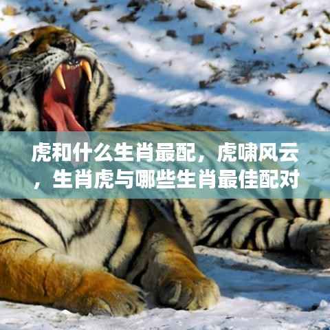 欣喜若狂 第5页