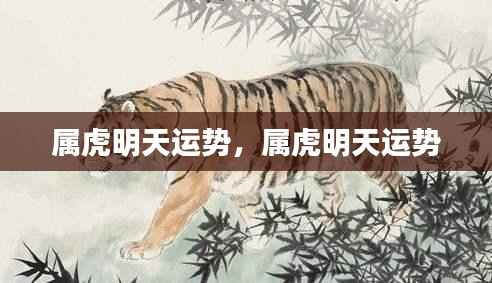 属虎明日运势预测