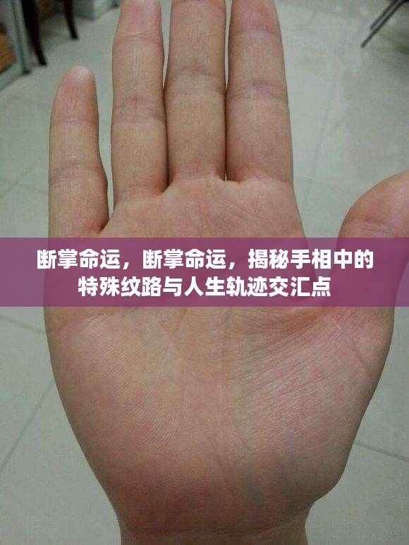 揭秘断掌命运,手相特殊纹路与人生轨迹交汇点探索