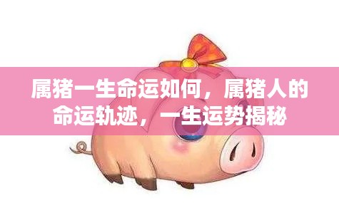 属猪人的命运轨迹揭秘,一生运势与命运分析