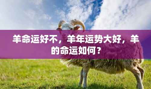 羊年运势旺盛,羊的命运走向解析
