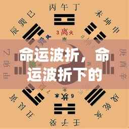 命运波折下的星座运势挑战与机遇,机遇与挑战并存,星座运势如何应对波折?