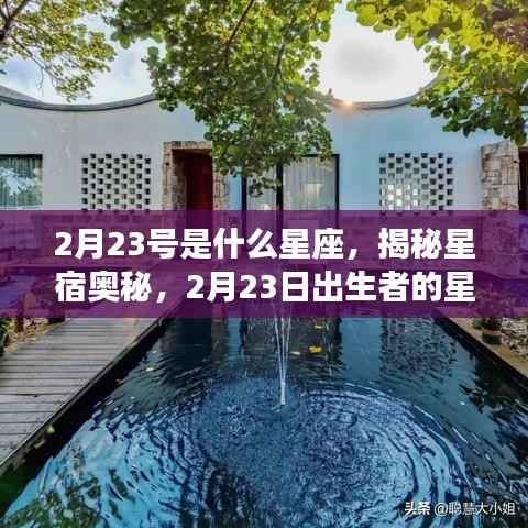 揭秘星宿奥秘,2月23日出生者的星座运势解析及星座特点探索