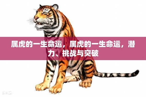 属虎人的命运轨迹,潜力、挑战与突破探索