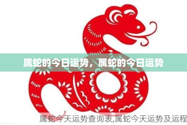 属蛇今日运势详解