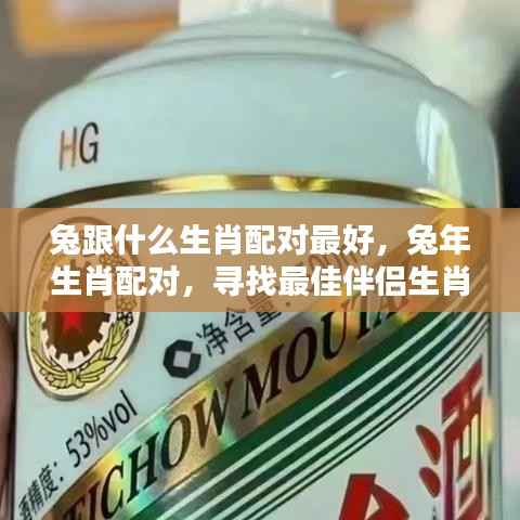 兔年生肖配对解析,寻找最佳伴侣生肖组合