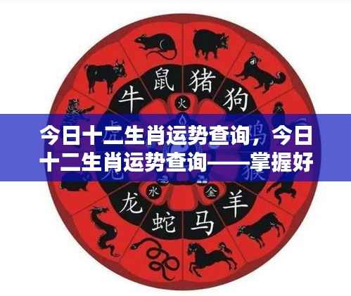 今日十二生肖运势详解——掌握好运势,开启美好一天!