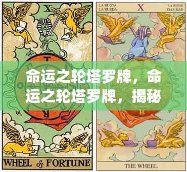 命运之轮塔罗牌,揭秘未来运势的奥秘与秘密探索