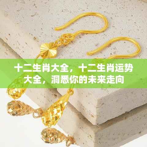 洞悉未来运势,十二生肖运势详解与未来走向分析