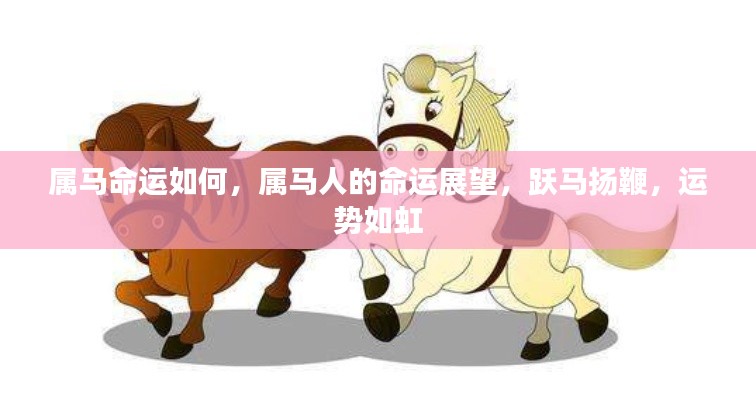 属马人的命运展望,运势如虹,跃马扬鞭的辉煌之旅