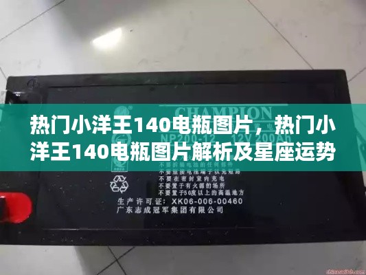 热门小洋王140电瓶图片,热门小洋王140电瓶图片解析及星座运势关联探讨