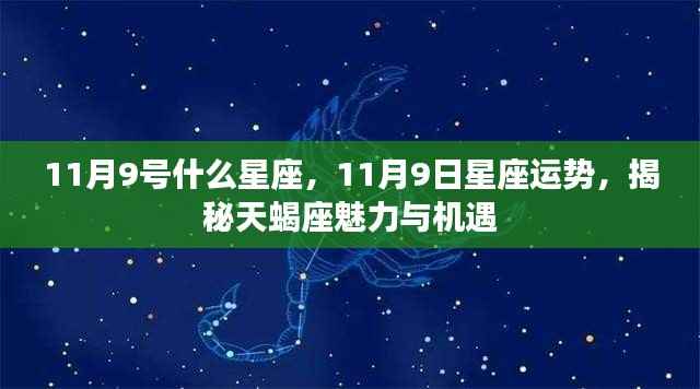 揭秘天蝎座,11月9日的星座运势与魅力机遇解析