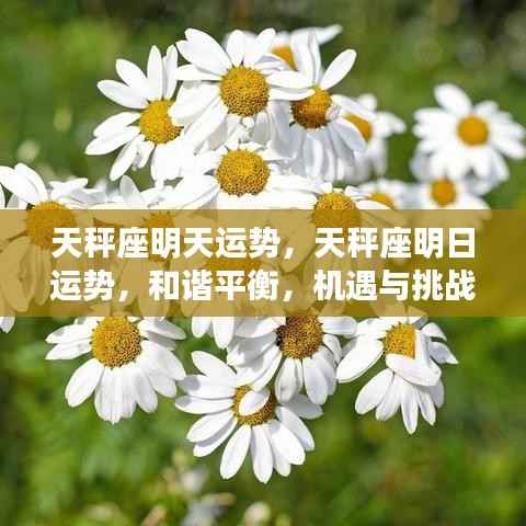 天秤座明天运势,天秤座明日运势,和谐平衡,机遇与挑战并存