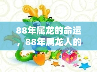 星辰指引下的独特人生轨迹,揭秘属龙人(1988年出生)的命运解析