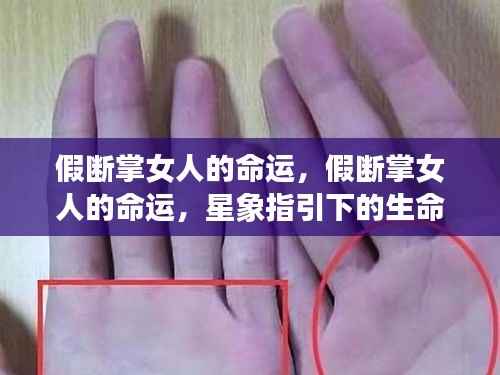 假断掌女人的命运解析,星象指引下的生命轨迹探索