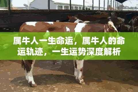 五光十色 第5页