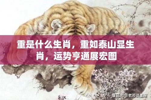 重如泰山显生肖运势,宏图大展展宏图