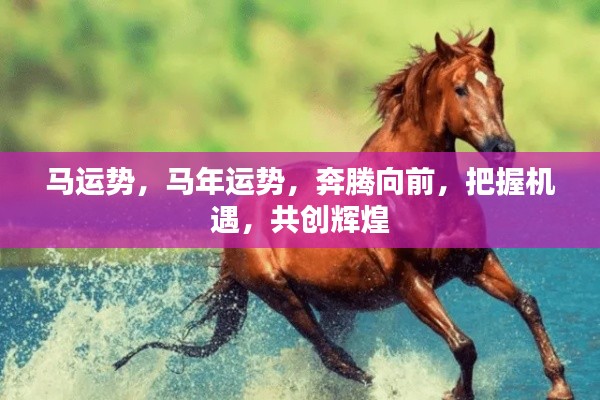 马年运势展望,奔腾向前,共创辉煌机遇时代