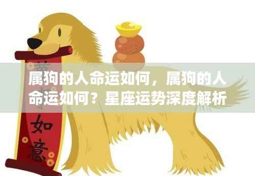 属狗人的命运走向深度解析,星座运势揭示未来运势如何?