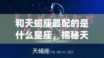 揭秘天蝎座的最佳星座配对,哪些星座与天蝎座最相配?