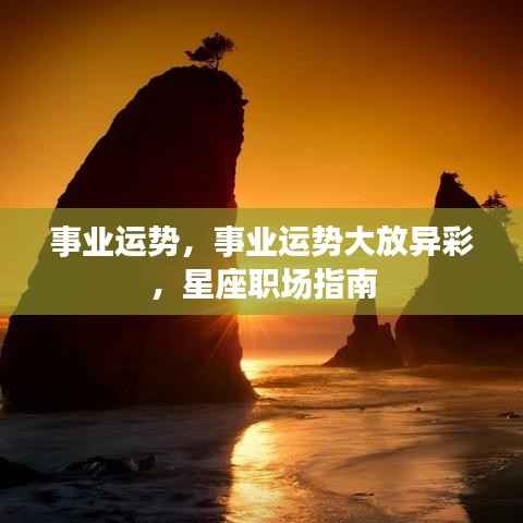 星座职场事业运势大放异彩,事业成功指南