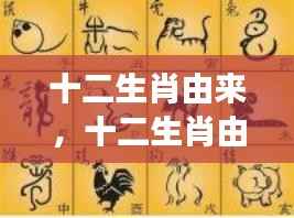 十二生肖由来及其星座运势深度解析