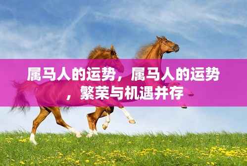 属马人的繁荣与机遇并存,运势展望与机遇解析