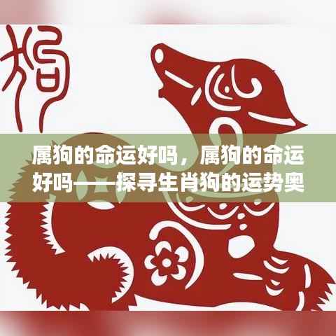 属狗的命运奥秘探寻,生肖狗的运势解析
