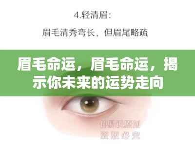 眉毛命运揭秘,探索眉型预知未来运势走向的神秘力量