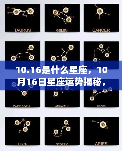 揭秘星座运势,探寻属于你的星辰轨迹,10月16日星座运势揭晓