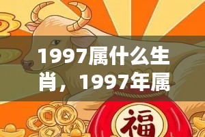 揭秘生肖运势,1997年属牛人的机遇与挑战与命运之轮紧密相连