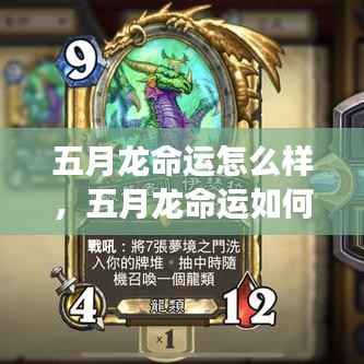 五月龙运势揭秘,探寻成功之星的光芒轨迹与命运走向