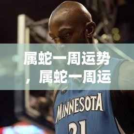 属蛇一周运势详解,把握机遇,顺势而为的策略指南