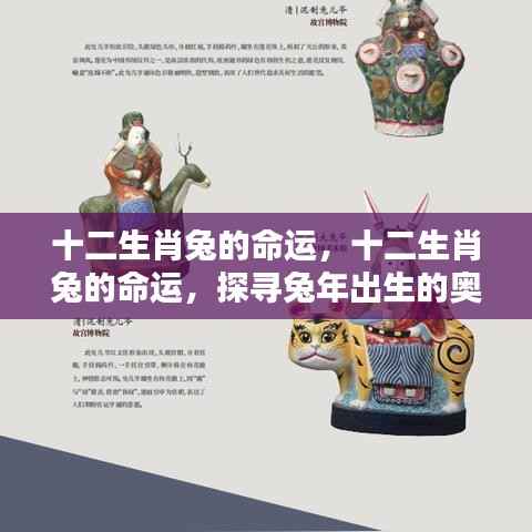 探寻十二生肖兔的命运奥秘与未来走向,兔年出生人的命运解析