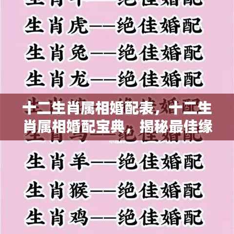 十二生肖婚配宝典,揭秘最佳缘分组合与属相婚配表