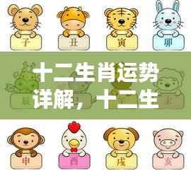 掌握命运之轮,十二生肖运势详解分析