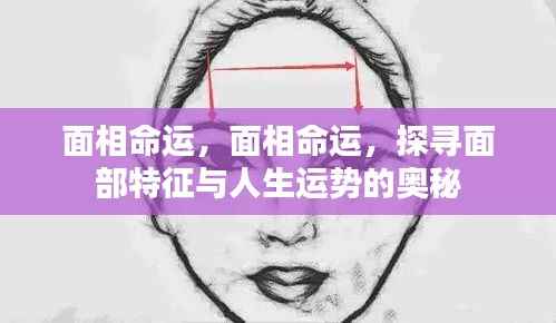 改弦易张 第5页