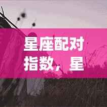 揭秘星座配对指数,寻找你的最佳爱情组合