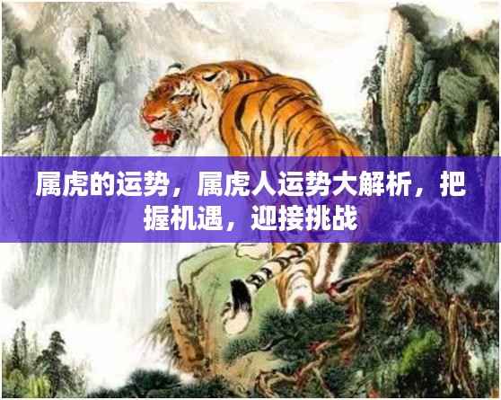 删繁就简 第4页